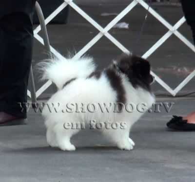 Clique sobre a foto para fechar